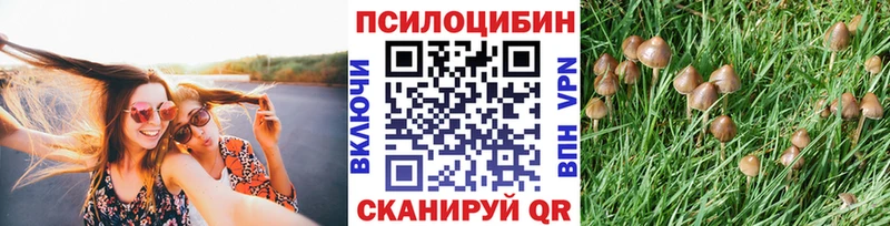где найти наркотики  Жуков  Галлюциногенные грибы Magic Shrooms 
